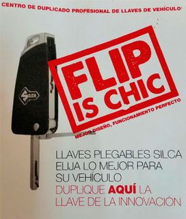 Singer Los Realejos afiche de Flip Is Chic