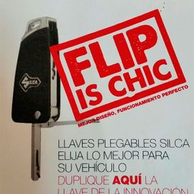 Singer Los Realejos afiche de Flip Is Chic